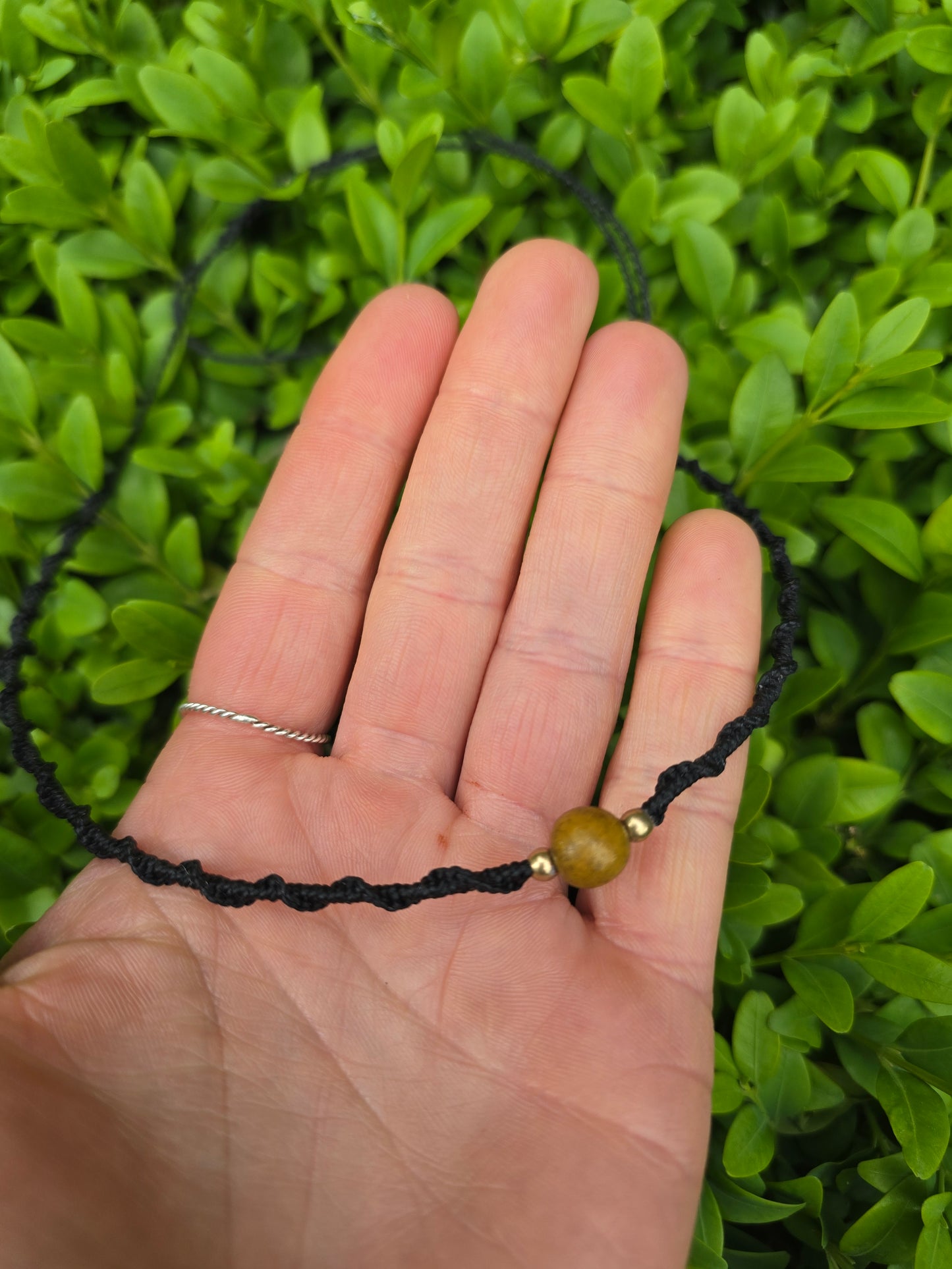 Acai Seed Choker