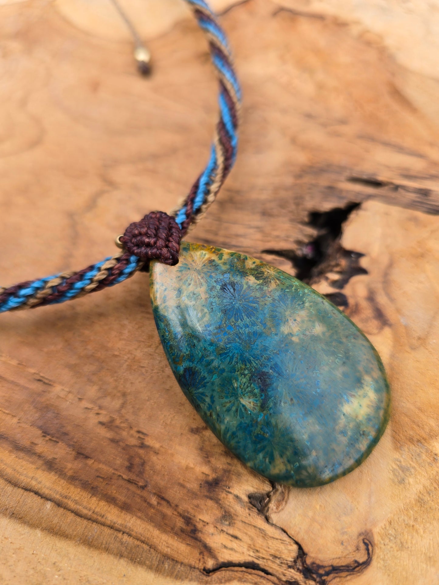 Starburst Agatized Coral Necklace