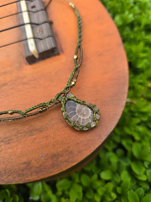 Baby Ammonite Choker Necklace ◇