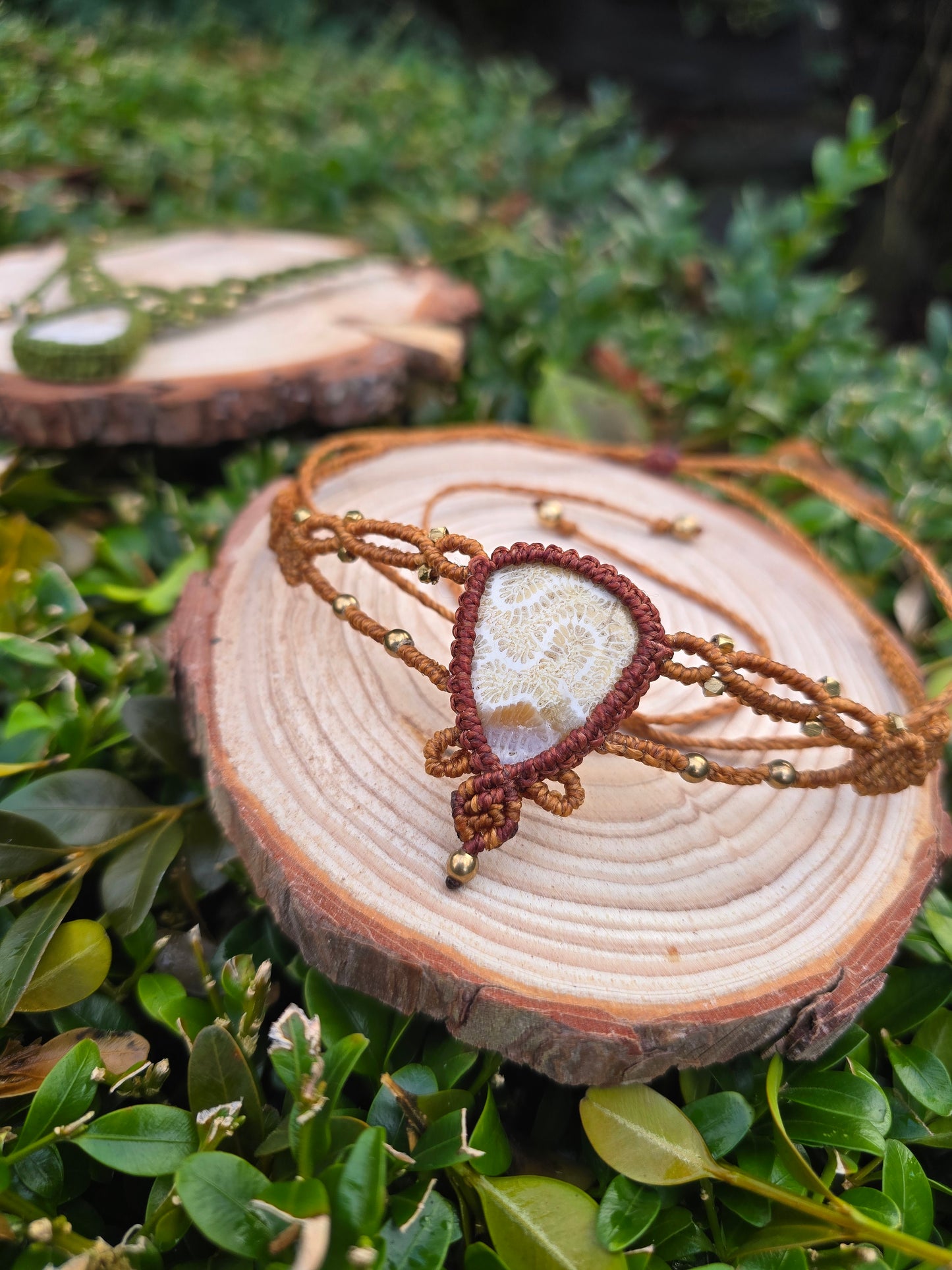 Agatized Coral Collar