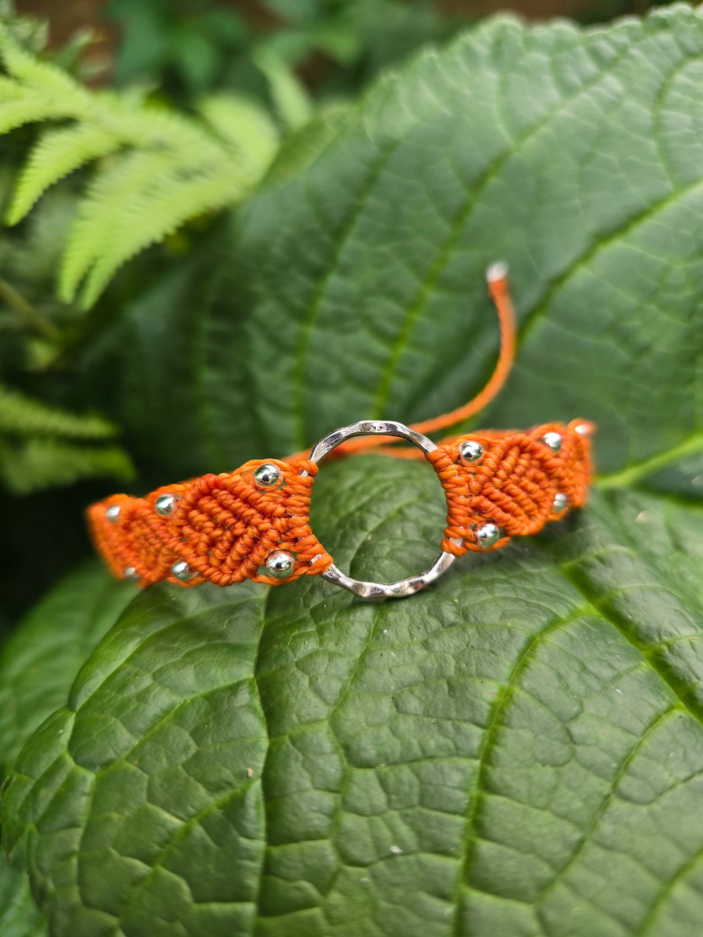 Tangerine Queen