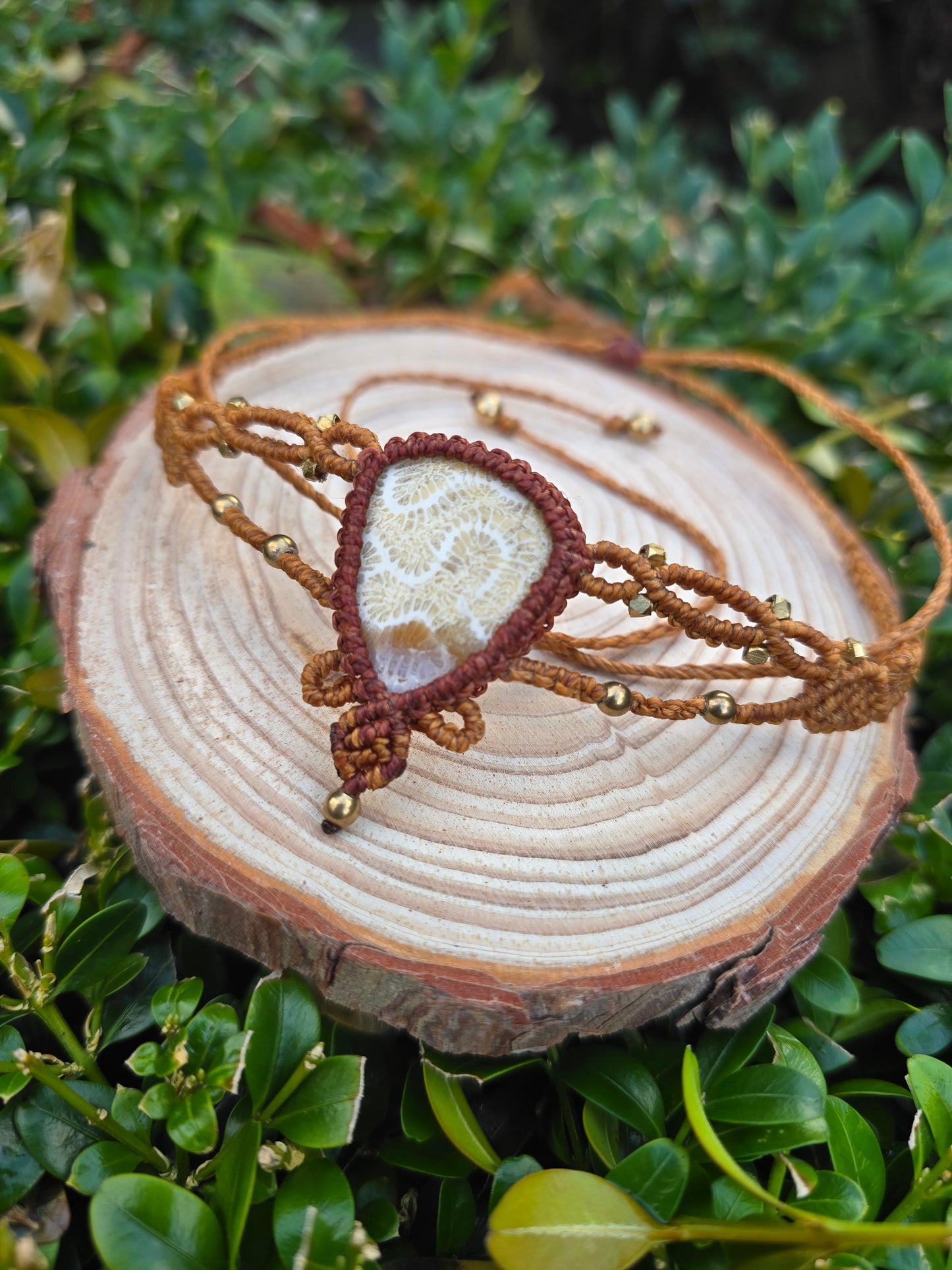 Agatized Coral Collar