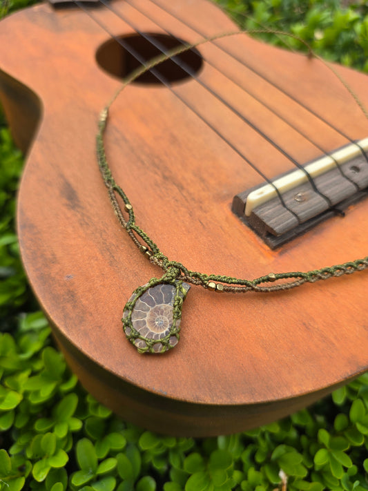 Baby Ammonite Choker Necklace ◇