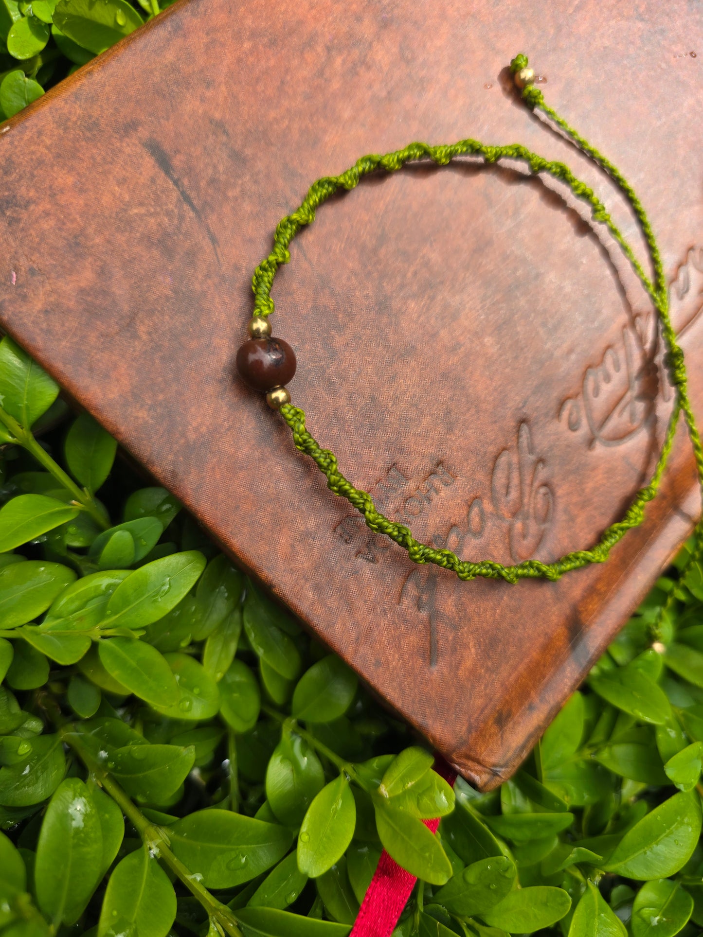 Acai Seed Anklet