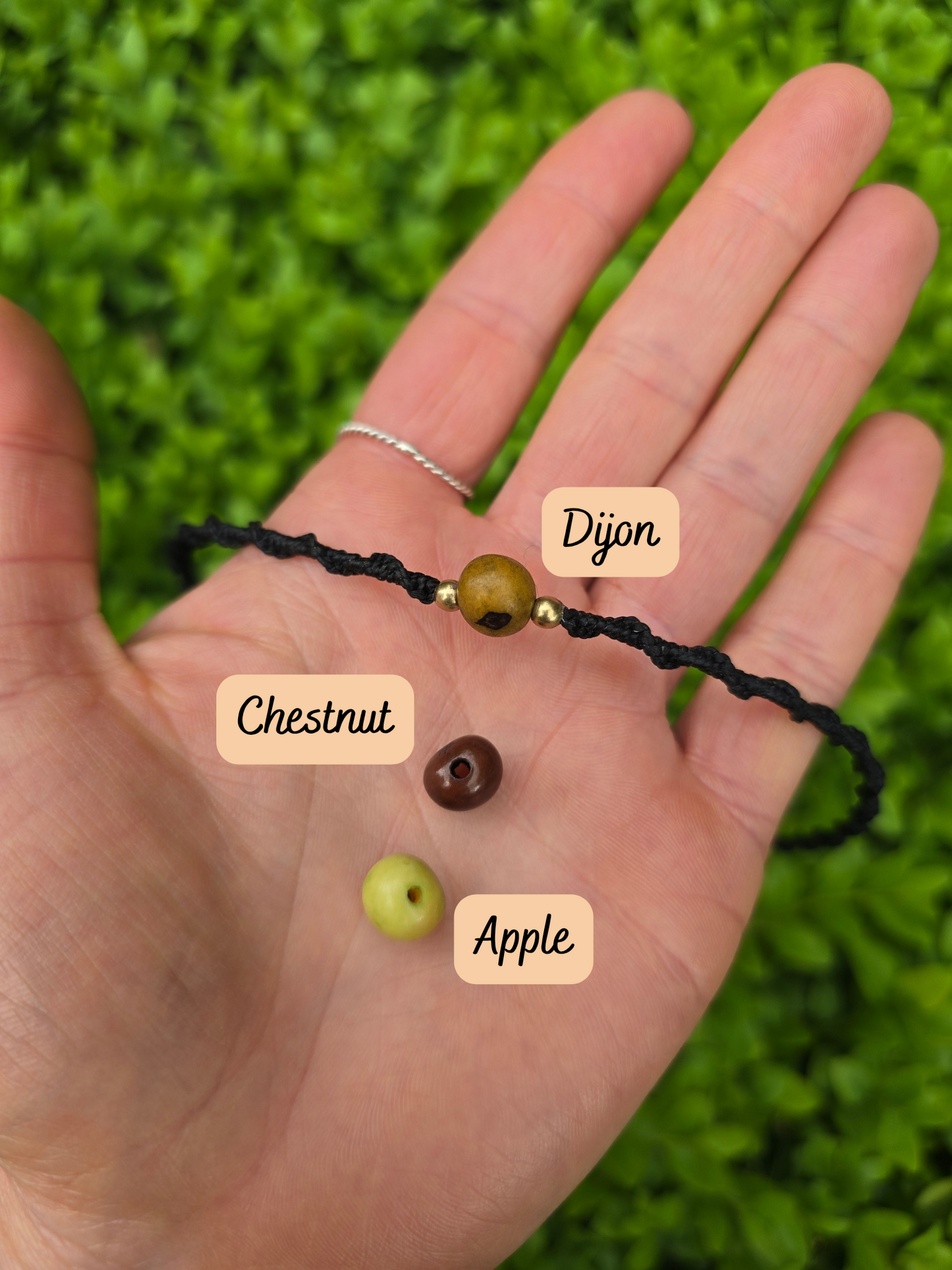Acai Seed Anklet