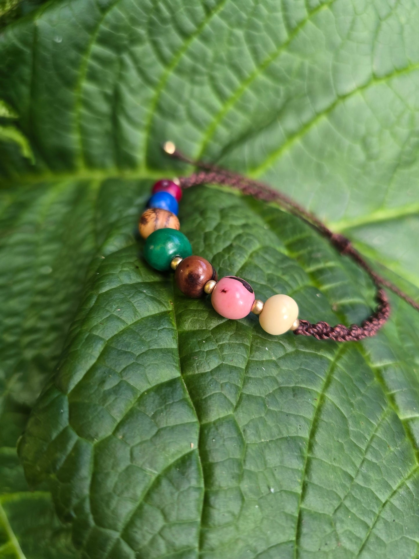 Colourful Acai Seed Anklet