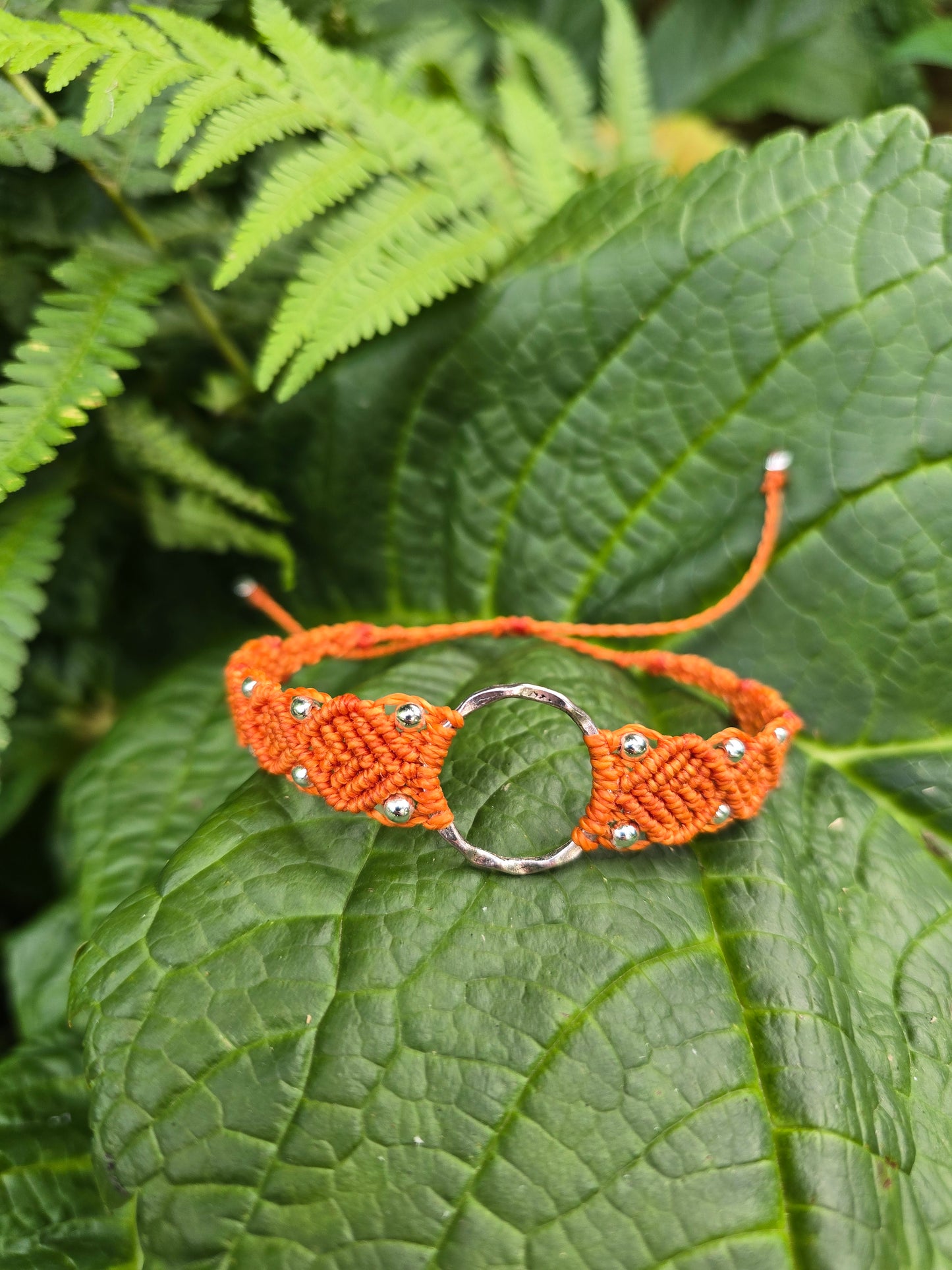Tangerine Queen