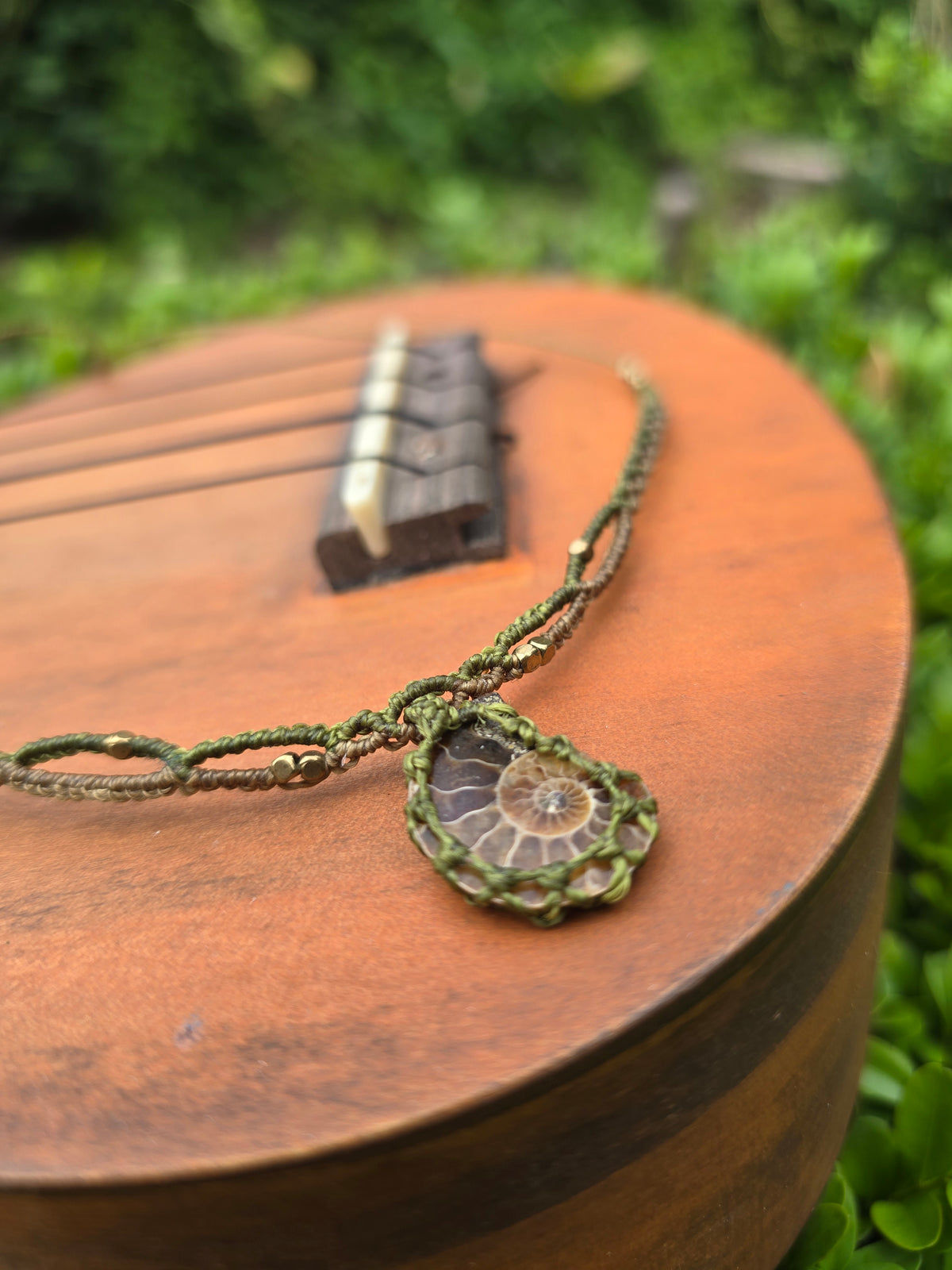 Baby Ammonite Choker Necklace ◇